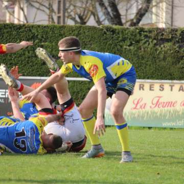 IMG_7884.JPG