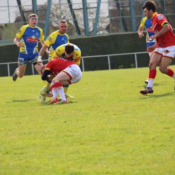 IMG_7855.JPG