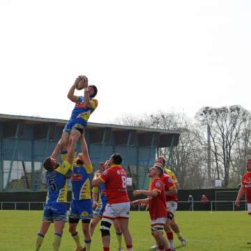 IMG_7851.JPG