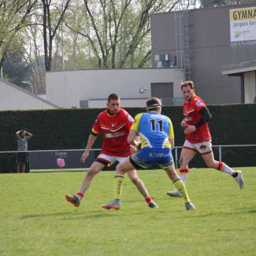 IMG_7879.JPG